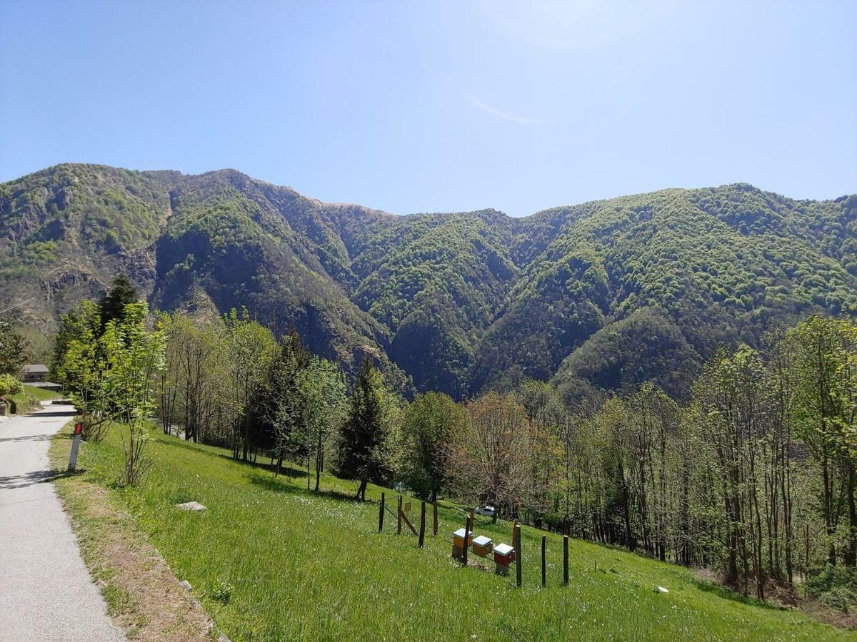 Ostello Del Parco Di Cicogna Exteriér fotografie