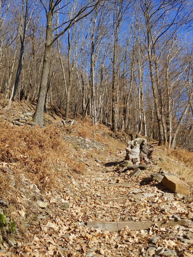 Ostello Del Parco Di Cicogna Exteriér fotografie